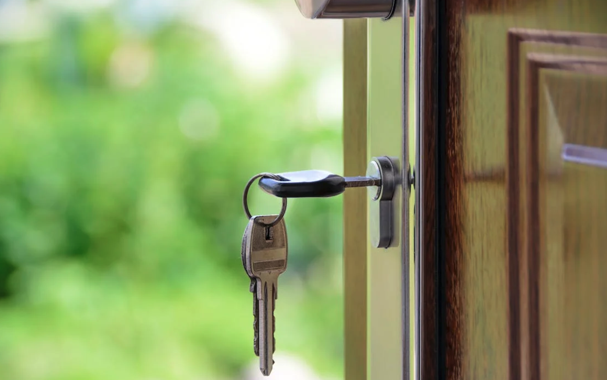 Disinfestazione Casa: Infestazioni più Frequenti Dentro e Fuori Casa. Disinfestazione e Prevenzione