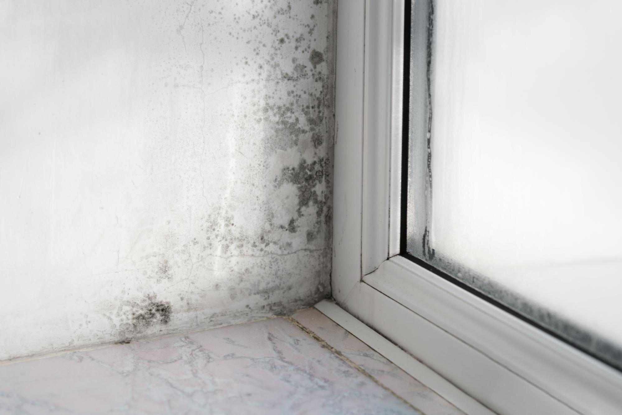 Umidità e muffe: come prevenire i rischi negli ambienti in autunno