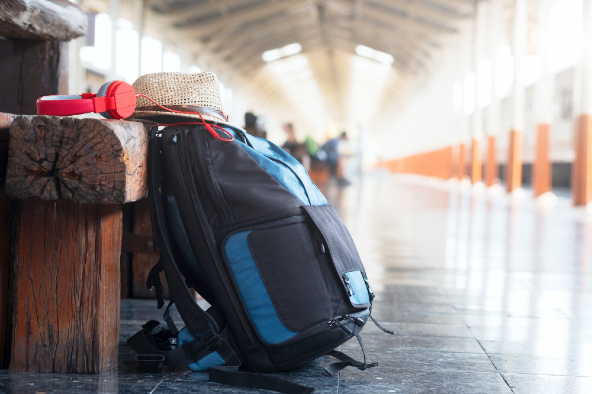 Rientro dai viaggi: controllare i bagagli per evitare l'importazione di parassiti esotici